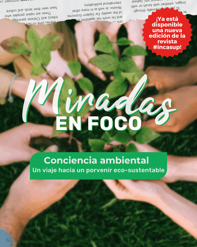 MIRADAS EN FOCO 2023 feed