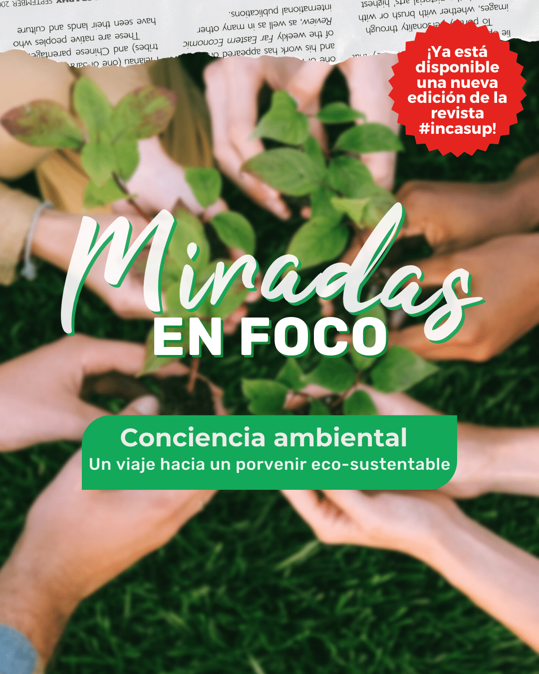 MIRADAS EN FOCO 2023 feed